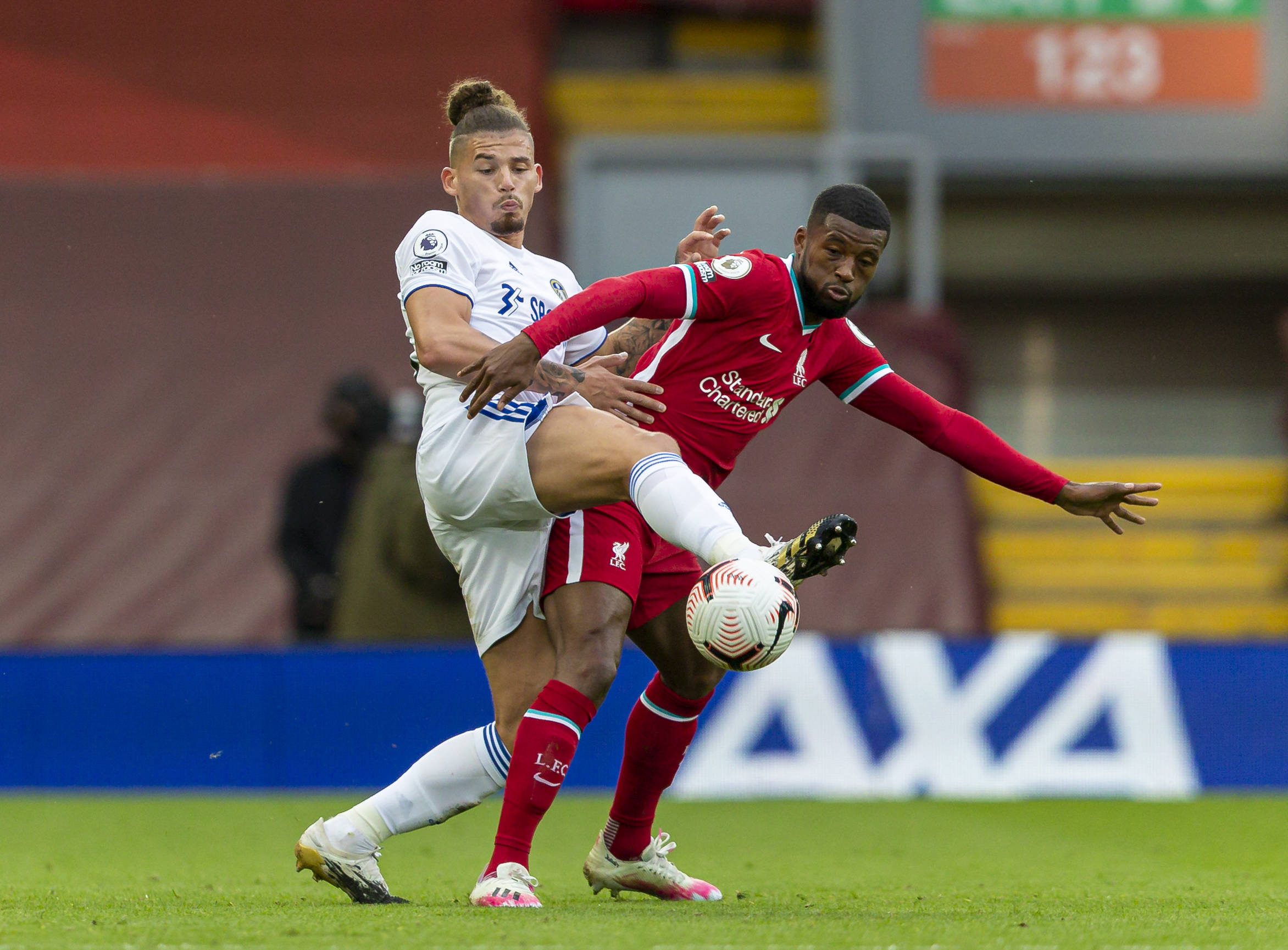 取得了显著 取得了显著